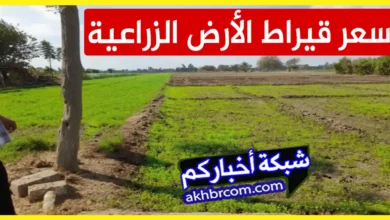 سعر قيراط الأرض الزراعية 2024 فى مصر